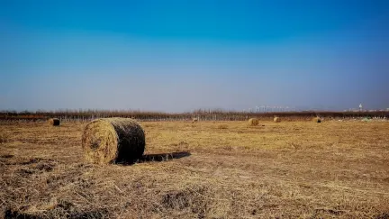 Casino Slot Shack Mobilapp